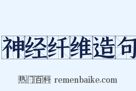 神经纤维造句是什么意思的图片